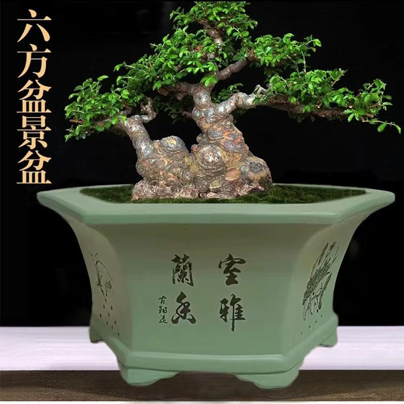 宜兴紫砂花盆大口径瓢口六方盆黑松山角梅赤楠榕树老桩室内种植盆