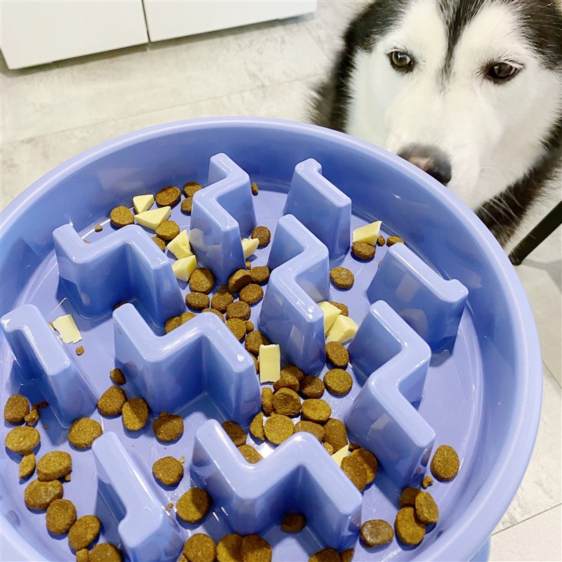 大胖商店 酷极慢食碗狗碗猫碗防噎狗盆小型犬大型犬缓食防打翻