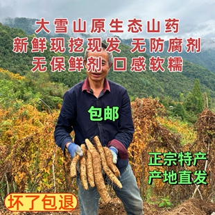 四川雅安宝兴雪山生态糯山药现挖新鲜野生半野生特产非铁棍山药汤