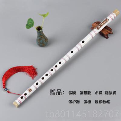 新长笛乐器初学者笛子初学成人学零基横笛黑色儿生苦竹笛白础紫色