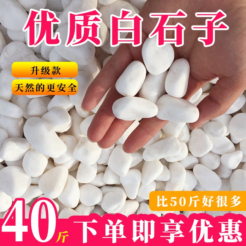天然白石子庭院铺路地小白石头室内阳台造景白色鹅卵石园林景观石