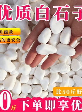 天然白石子庭院铺路地小白石头室内阳台造景白色鹅卵石园林景观石