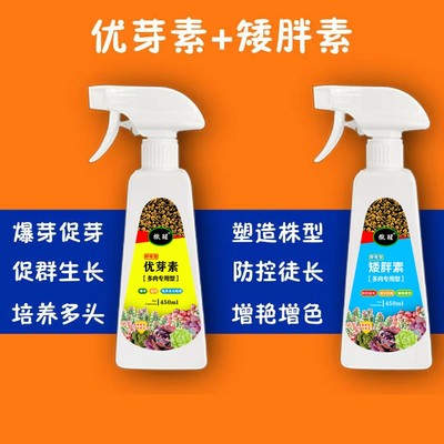 （太阳花多肉通用）撒醒优芽素矮胖素450ml大容量多肉专用多头