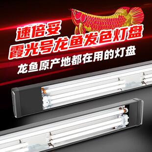 速倍妥霞光号龙鱼专用发色灯管鱼缸增艳灯观赏红龙三基色T5全光谱