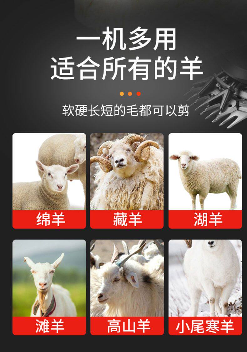 Ножницы 电动羊毛剪电剪刀剃羊毛的电推子大功率剪毛机器羊毛剪子电动推子 Seiko Dragon