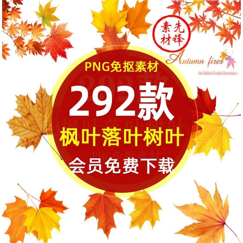 .秋天季红色枫叶落叶树叶插画PNG免抠图片 秋季红枫叶背景PS素材