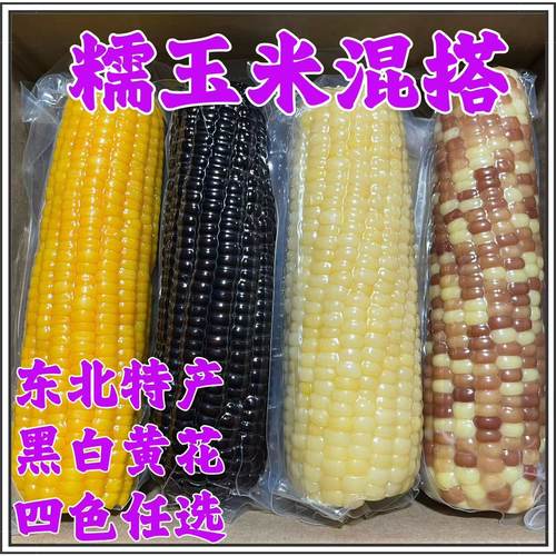 糯玉米混搭东北糯玉米组合装黑白黄花糯玉米混搭真空包装粘糯玉米