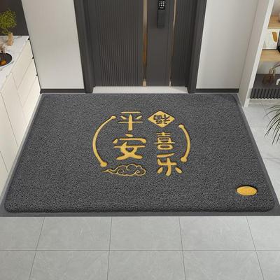 入户门垫进门地垫大门口丝圈蹭脚垫出入平安家用除尘垫子玄关地毯