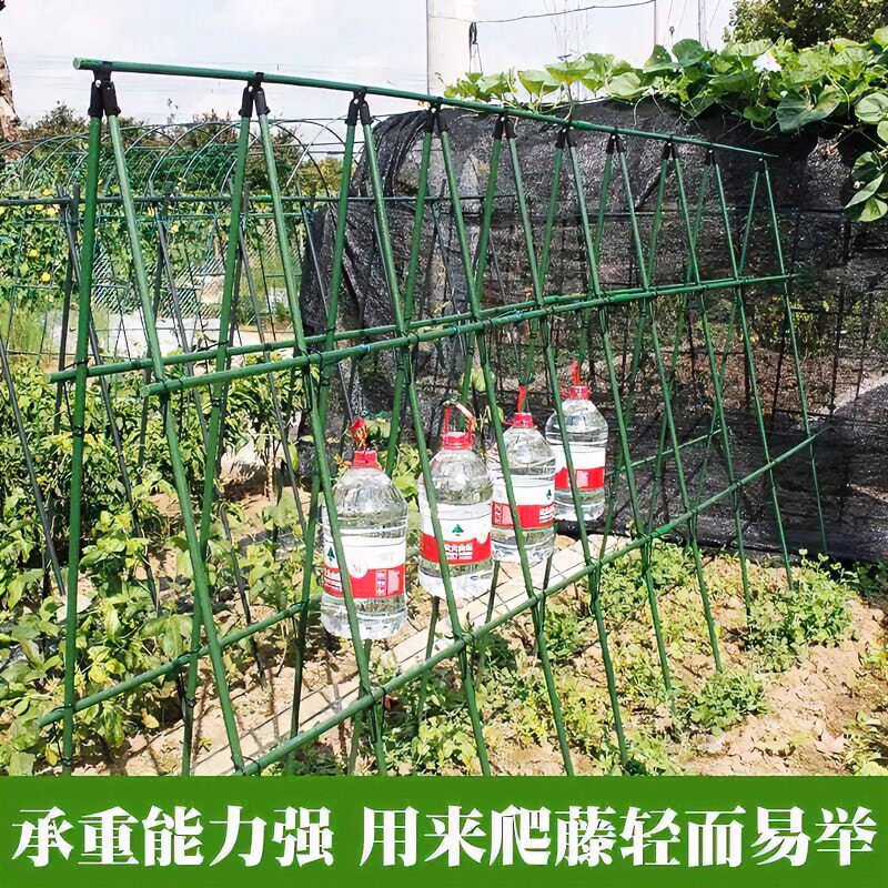 爬藤架种菜架子园艺花架花园阳台花爬架植物豆角黄瓜架丝瓜架户外