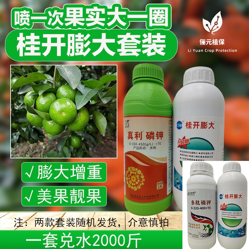 桂开柑橘膨大套装膨果增重美果靓果改善粗皮提高座果率
