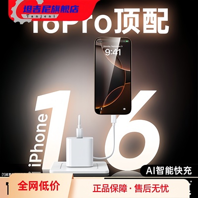 坦吉尼正品30W专用于苹果PD快充