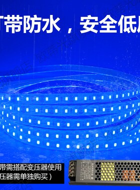 蓝色灯带24V户外防水鱼缸鱼池泳池水下水底专用24伏蓝色超亮灯带