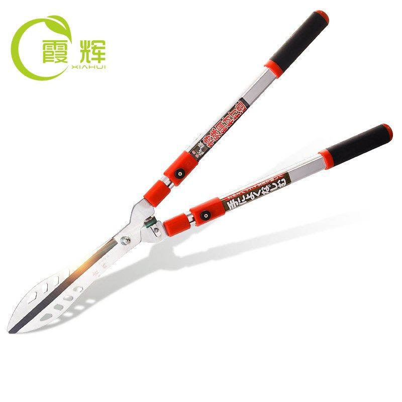 霞辉园林剪刀园艺剪刀修枝剪果树剪子剪草修花剪修枝大剪刀绿篱剪,鲜花速递/花卉仿真/绿植园艺,剪刀,淘宝优惠券,粉丝福利购,淘宝优惠卷