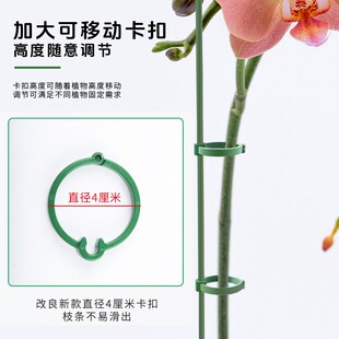 爬藤架花架包塑钢管月季豆角西红柿黄瓜园艺固定杆葡萄植物支撑架