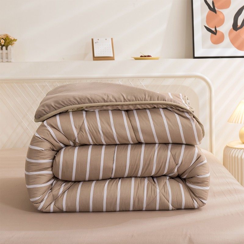 被子冬被四季通用加厚保暖学生宿舍单双人棉被褥子春秋空调太空被
