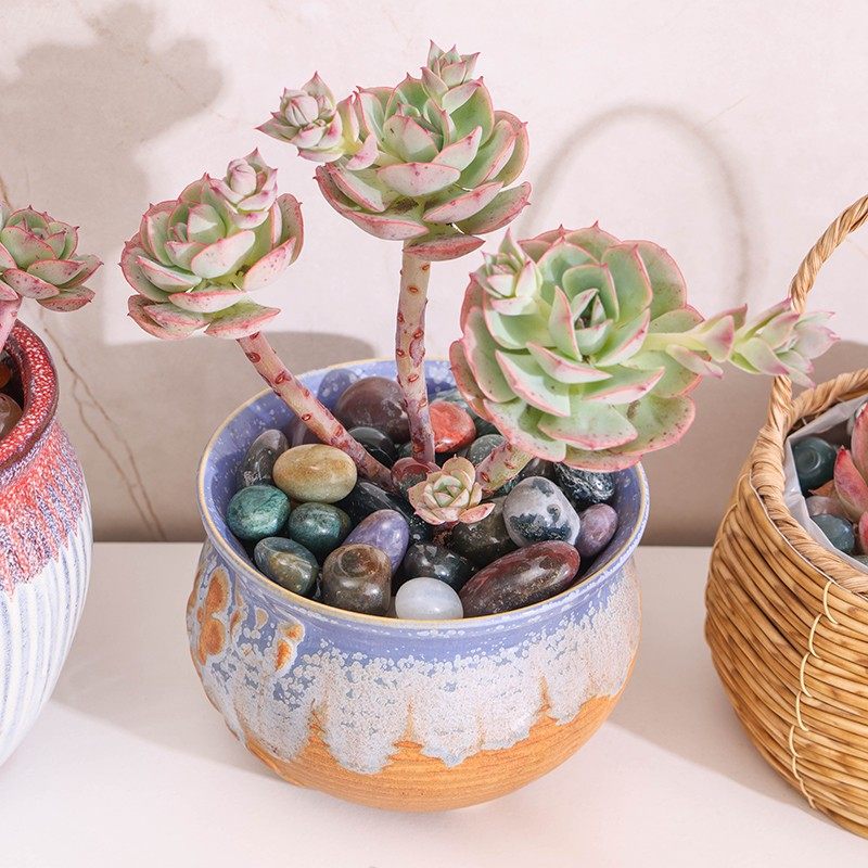 南京雨花石鹅卵石原石天然鱼缸小石头底部沙石子多肉园艺造景铺地,鲜花速递/花卉仿真/绿植园艺,其它园艺用品,淘宝优惠券,粉丝福利购,淘宝优惠卷