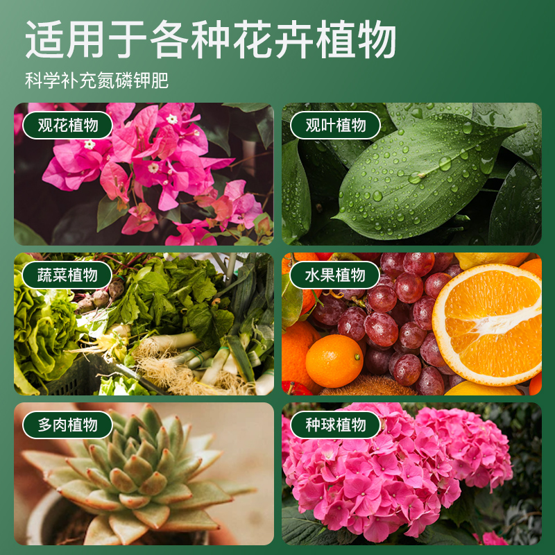 缓释肥颗粒花肥料家用养花卉盆栽植物氮磷钾肥通用复合肥绿植多肉