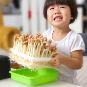 花生芽育苗盘水培箱盆种植盒发芽神器板筐新鲜长寿果豆芽盆机商用