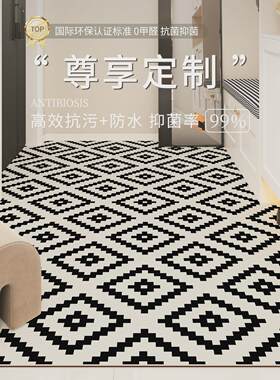 奶油风入户门地垫耐m脏免洗门口进门脚垫地毯入户除尘pvc防滑地垫