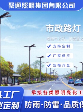 户外厂区路灯市政乡村路灯高杆路灯杆6米8米9米leWd防水路灯头