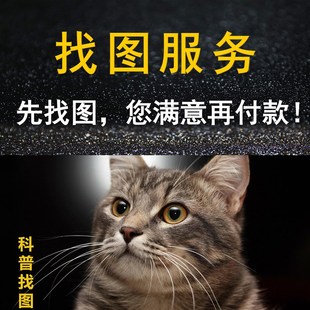 代找图片帮找素材高清图片找壁画找原图装饰画矢量图拼图壁纸下载