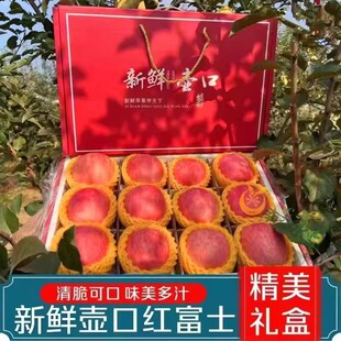 【顺丰礼盒装】新鲜红富士苹果壶口苹果送礼佳品产自山西吉县