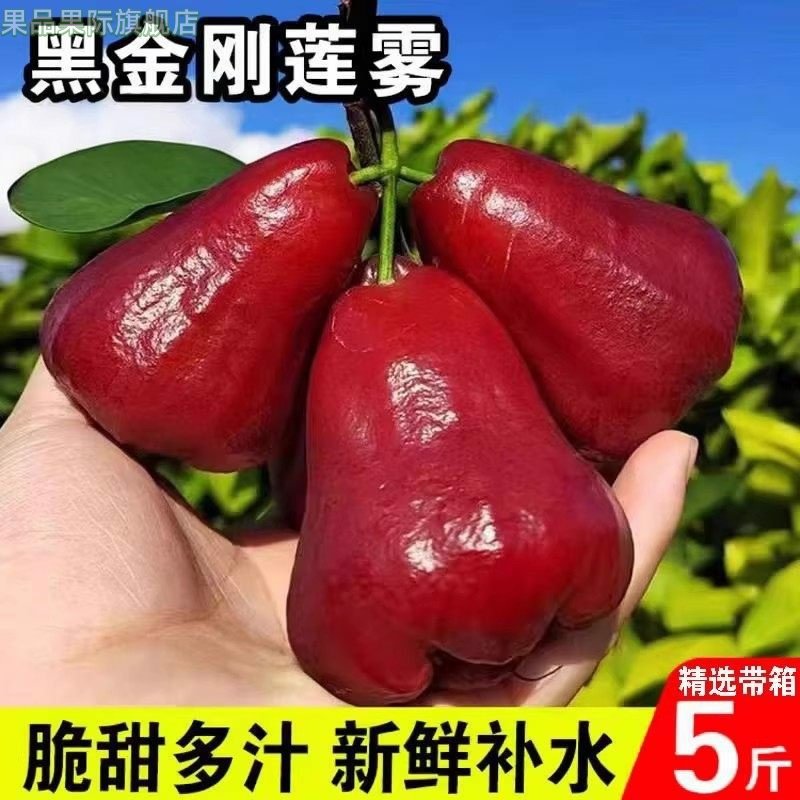 正宗海南黑金刚莲雾果新鲜水果莲雾黑金刚中果带箱顺丰包邮,水产肉类/新鲜蔬果/熟食,莲雾,淘宝优惠券,粉丝福利购,淘宝优惠卷