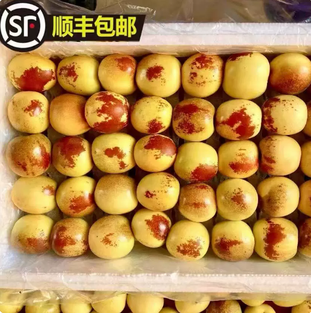 陕西冬枣当季鲜枣新鲜水果青红脆枣现货精品孕妇枣子精选大果