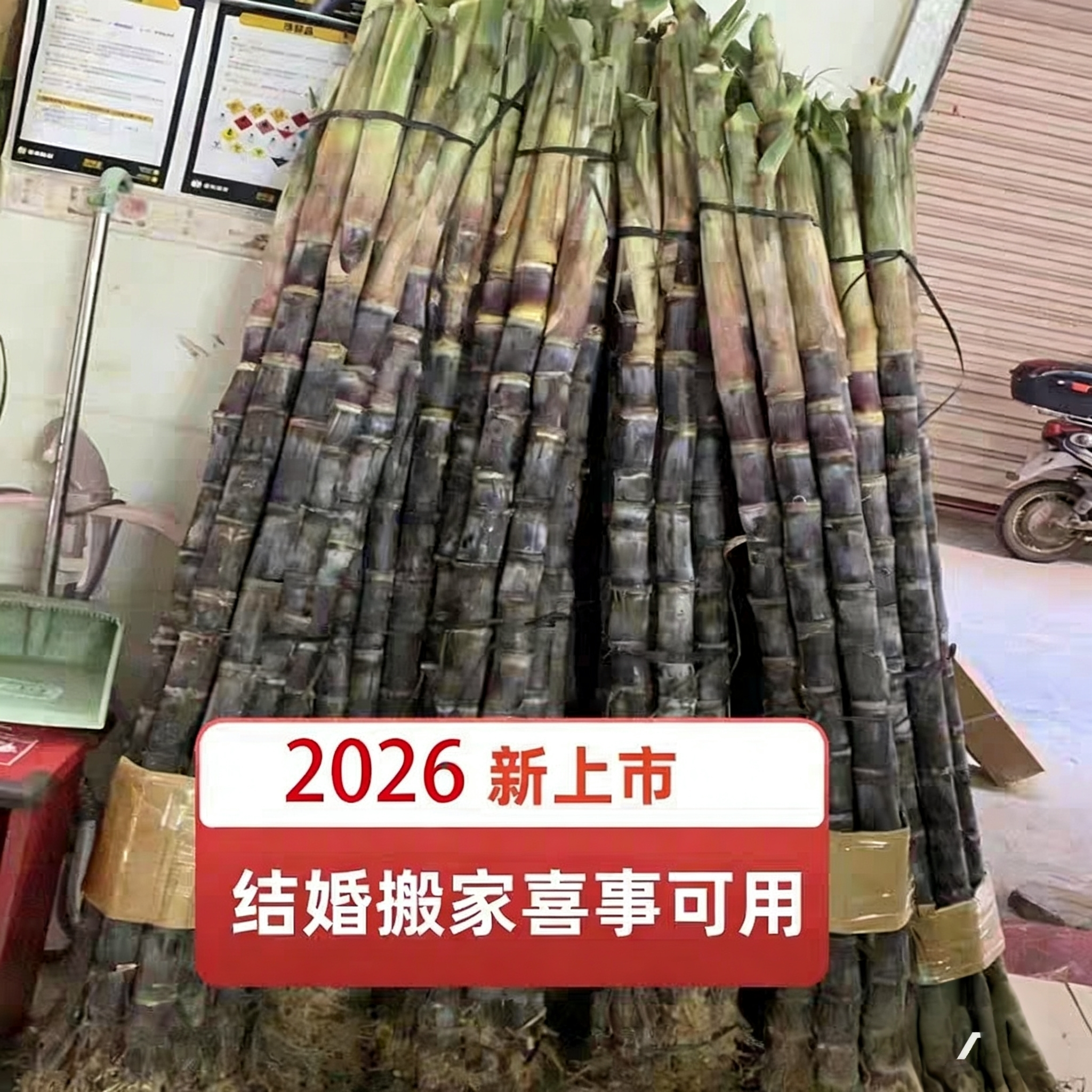 整根带头尾黑红皮甘蔗甜2根新鲜结婚搬家喜事孕妇吃1.6米包邮