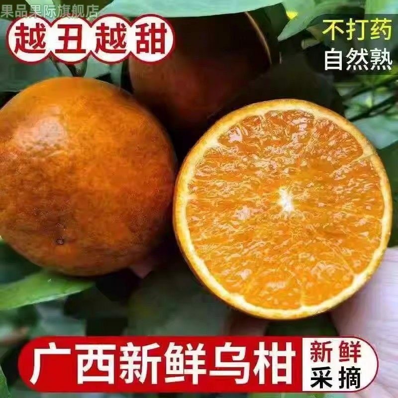 正宗广西乌柑香甜多汁新鲜水果桔子黑皮沃柑薄皮沃柑橘子现摘批发,水产肉类/新鲜蔬果/熟食,橙,淘宝优惠券,粉丝福利购,淘宝优惠卷