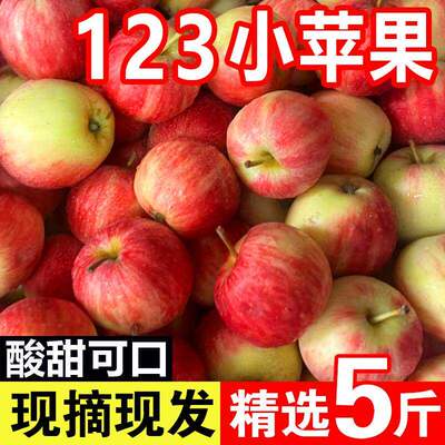 东北特产123小苹果沙果新鲜当季应季孕妇水果酸甜脆海棠花红苹果