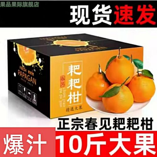 2026新鲜春见耙耙柑旗舰店粑粑巴巴干橘子新鲜10斤丑八怪桔子知火