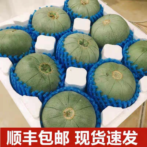 绿宝甜瓜石脆皮甜瓜新鲜网纹牛奶小香瓜羊角薄皮翡翠蜜水果