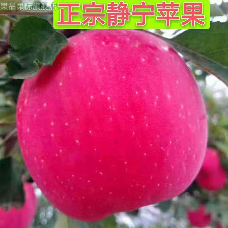 【静宁发货】正宗甘肃静宁红富士苹应当季新鲜水果脆甜苹果整箱批,水产肉类/新鲜蔬果/熟食,苹果,淘宝优惠券,粉丝福利购,淘宝优惠卷