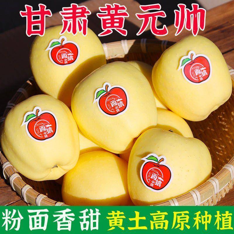 甘肃黄元帅黄香蕉黄金帅苹果新鲜孕妇水果采摘粉面刮泥粉甜10斤装