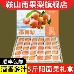【阳面果礼盒】东北南果梨5斤包邮特产海城南国梨子新鲜水果鞍山