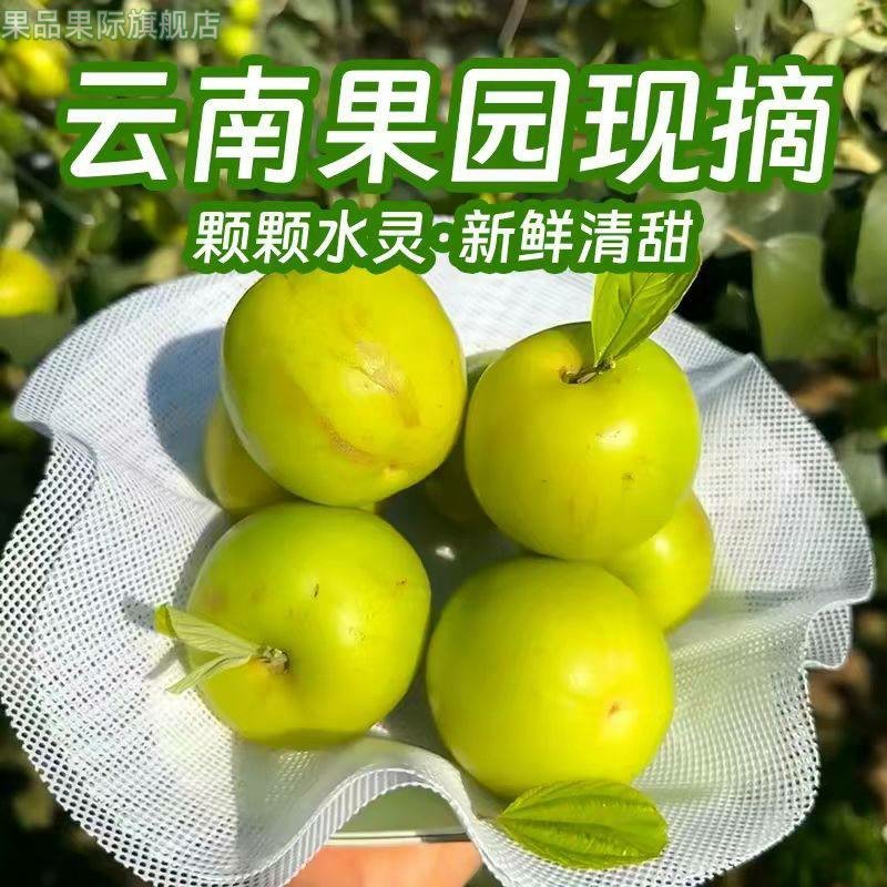 顺丰福建贵妃牛奶枣大果苹果枣当季新鲜水果青枣孕妇脆甜整箱包邮,水产肉类/新鲜蔬果/熟食,百香果,淘宝优惠券,粉丝福利购,淘宝优惠卷