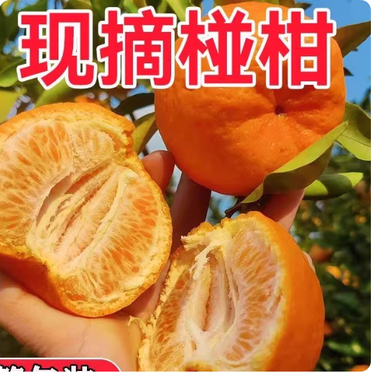 椪柑芦柑新鲜柑橘桔子丑桔子碰柑9斤整箱应当季孕妇水果现摘