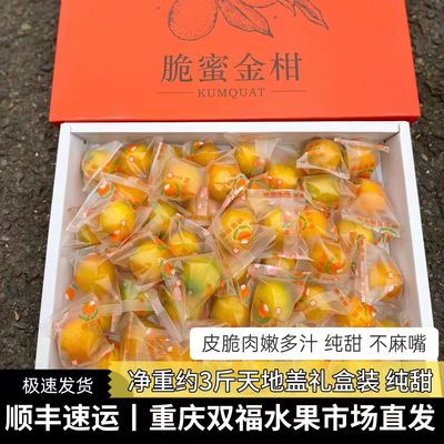 老桔农脆蜜金柑甜蜜多汁3斤礼盒当季时令新鲜水果黄皮脆甜大果