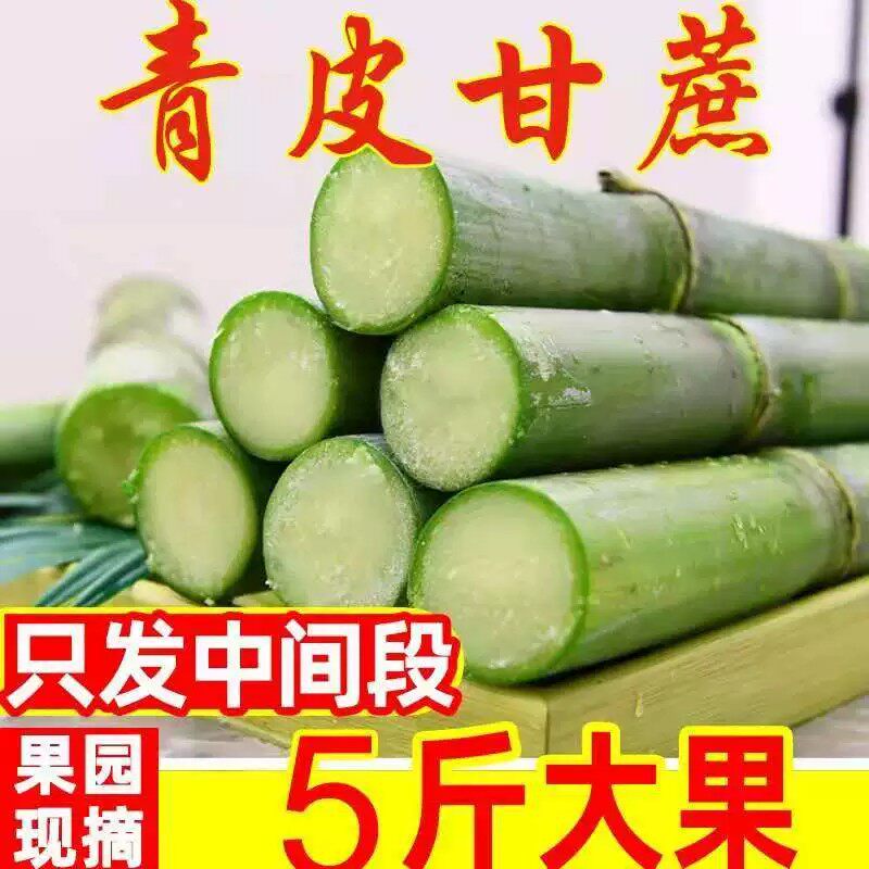 现货青皮绿皮甘蔗 新鲜现砍应季水果 脆甜果蔗整箱5斤
