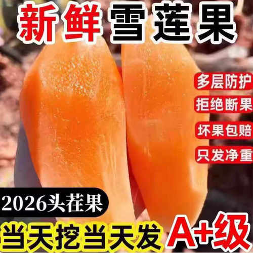 云南天山雪莲果新鲜水果官方旗舰店新鲜现挖应当季红心精品雪连果