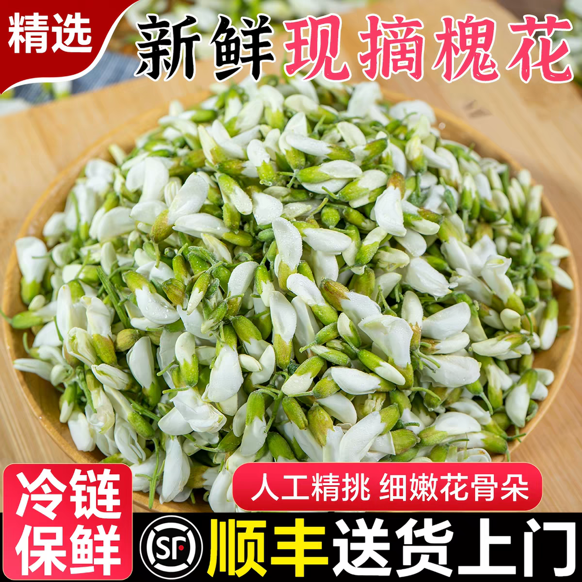 2026洋槐花新鲜现摘杨槐花骨朵当季现摘顺丰包邮槐米花苞野生野菜
