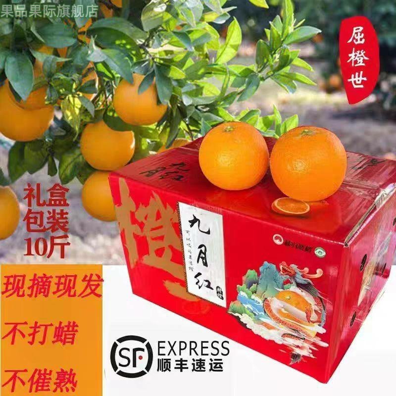 九月红橙子果冻橙秭归脐橙当季新鲜现摘水果10斤整箱手剥橙,水产肉类/新鲜蔬果/熟食,橙,淘宝优惠券,粉丝福利购,淘宝优惠卷
