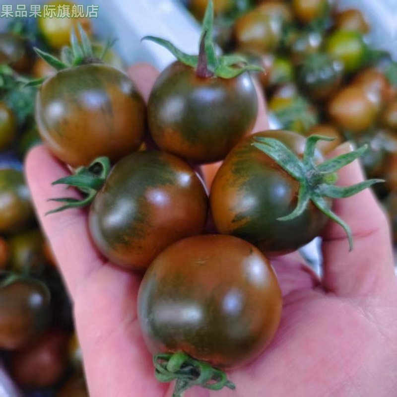 【自然熟】新鲜紫春桃巧克力西红柿黑番茄黑春桃儿童孕妇生吃水果,水产肉类/新鲜蔬果/熟食,番茄,淘宝优惠券,粉丝福利购,淘宝优惠卷