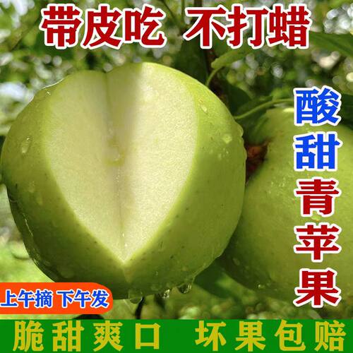 青苹果9斤新鲜水果当季现摘酸脆甜绿萍果冰糖心富士