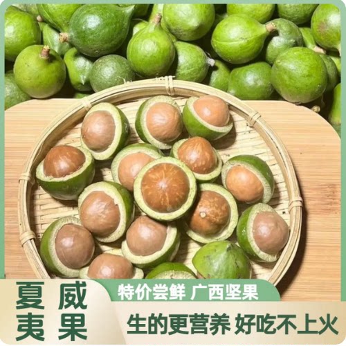 2026当季新鲜广西夏威夷果坚果原味水果带青