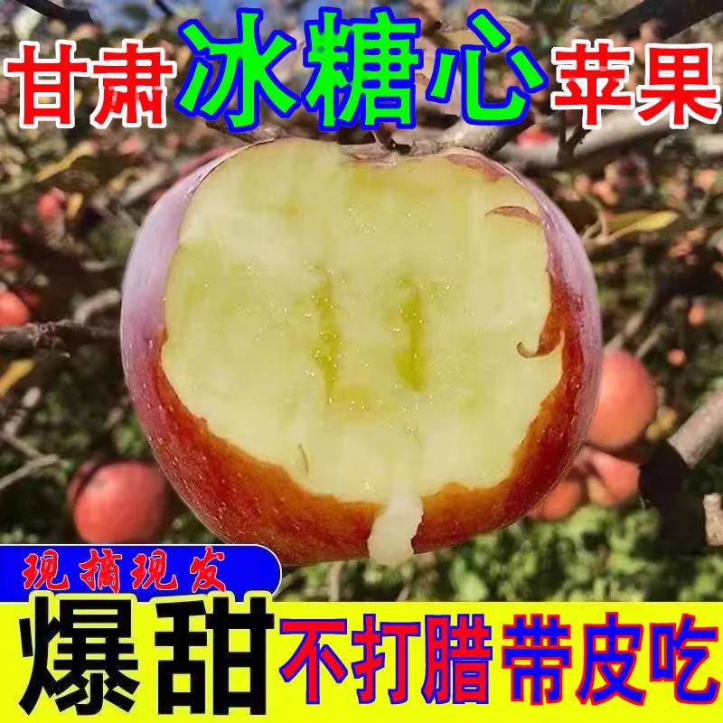 甘肃会宁正宗冰糖心红富士苹果新鲜应季精品冰糖心苹果10斤
