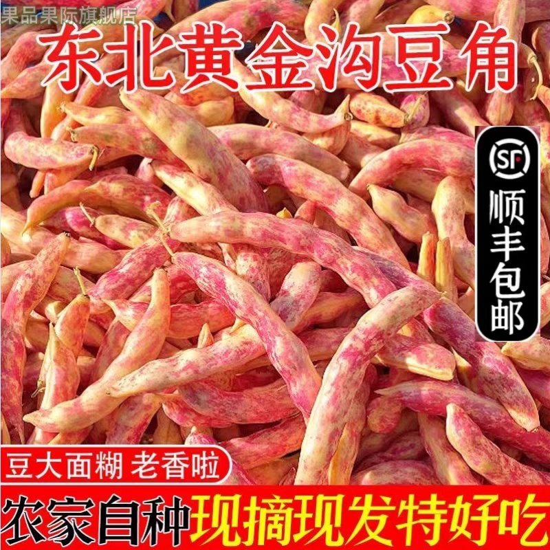 速冻黄金沟钩勾黄豆角东北特产蔬菜黄金钩豆角面鼓芸豆角八月忙,水产肉类/新鲜蔬果/熟食,菜豆/芸豆/油豆角,淘宝优惠券,粉丝福利购,淘宝优惠卷