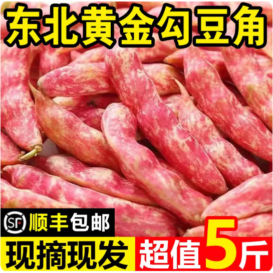 东北特产黄金勾豆角黄金钩红金钩油豆角鼓豆新鲜蔬菜5斤顺丰包邮图片
