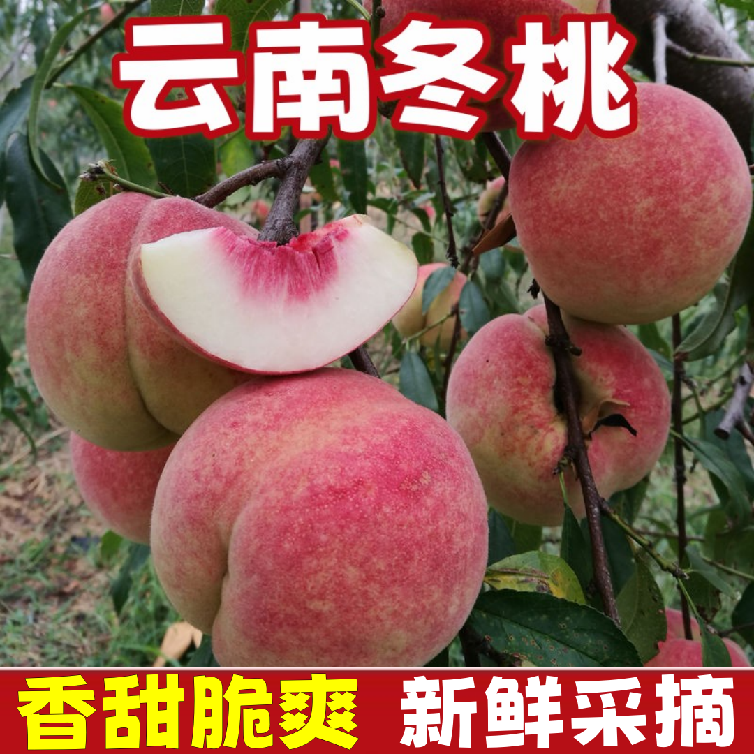 顺丰云南大理冬桃脆甜毛桃现摘正宗高山桃子精选大果整箱新鲜水果